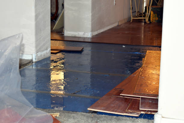 Professional Basement Flood Cleanup technician working in Labadie, MO